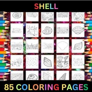 Páginas para colorear de conchas imprimibles para niños y adultos / 85 páginas / Descarga digital PDF / Colección de hojas para colorear de conchas de océano lindas imprimibles