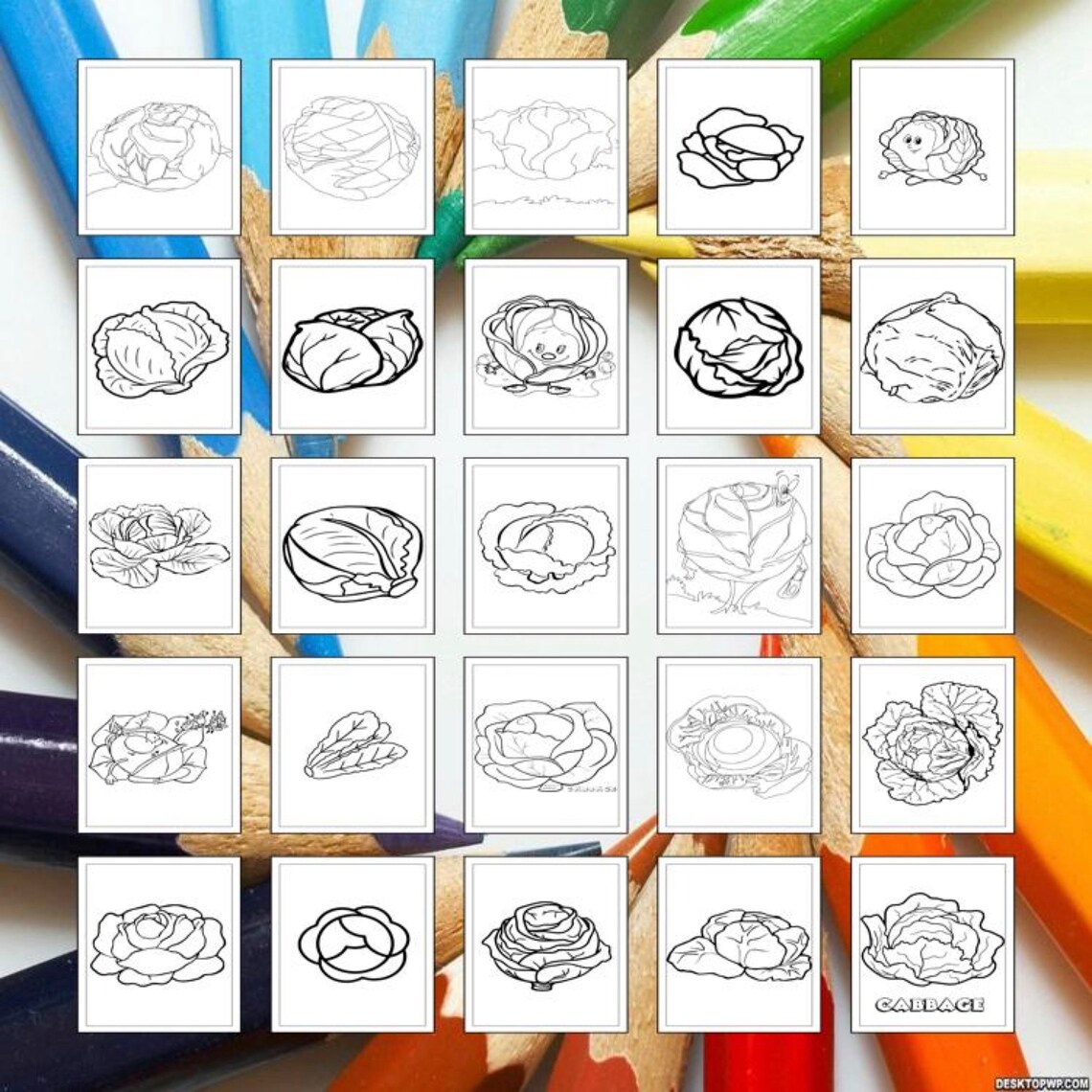 Printable Cabbage Coloring Pages for Kids & Adults | 30 Pages | Instant ...