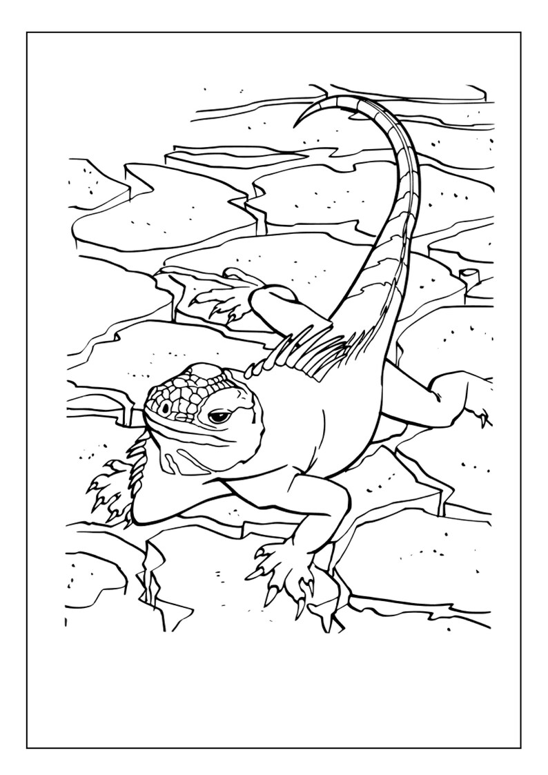 Printable Lizard Coloring Pages for Kids and Adults 90 Pages Instant ...
