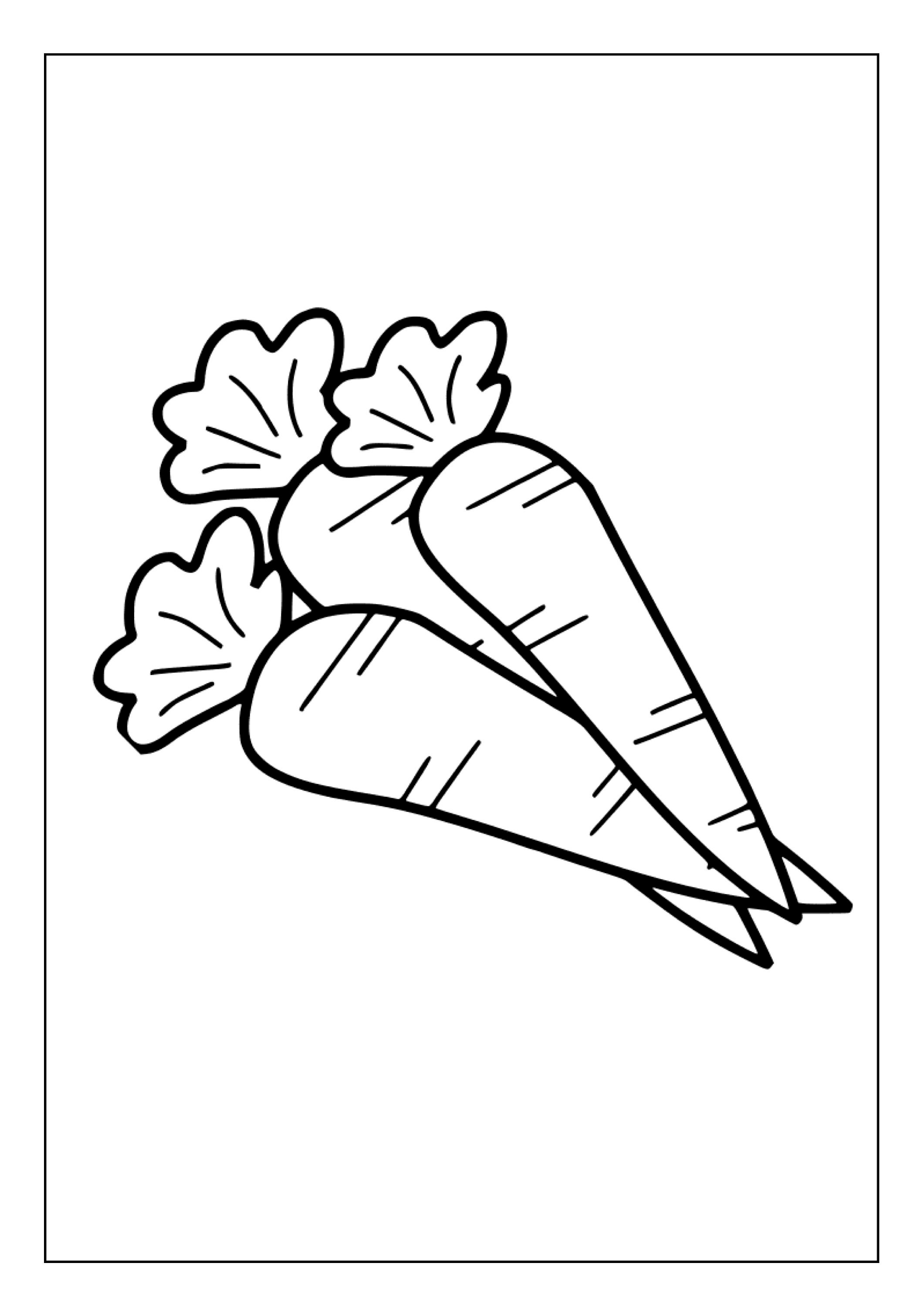 Printable Carrots Coloring Pages for Kids & Adults 80 Pages Instant