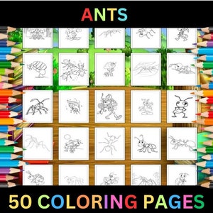 Páginas para colorir de formigas para impressão para crianças e adultos | 50 páginas | Download digital instantâneo de PDF | Folhas para colorir de ilustrações de insetos para impressão