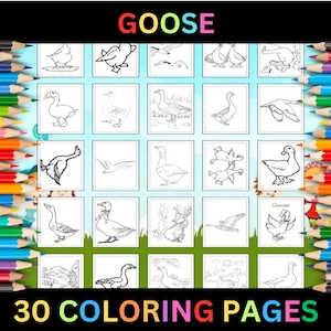 Páginas para colorear de ganso imprimibles para niños y adultos / 30 páginas / Descarga digital instantánea PDF / Hojas para colorear de aves de corral de gansos lindos