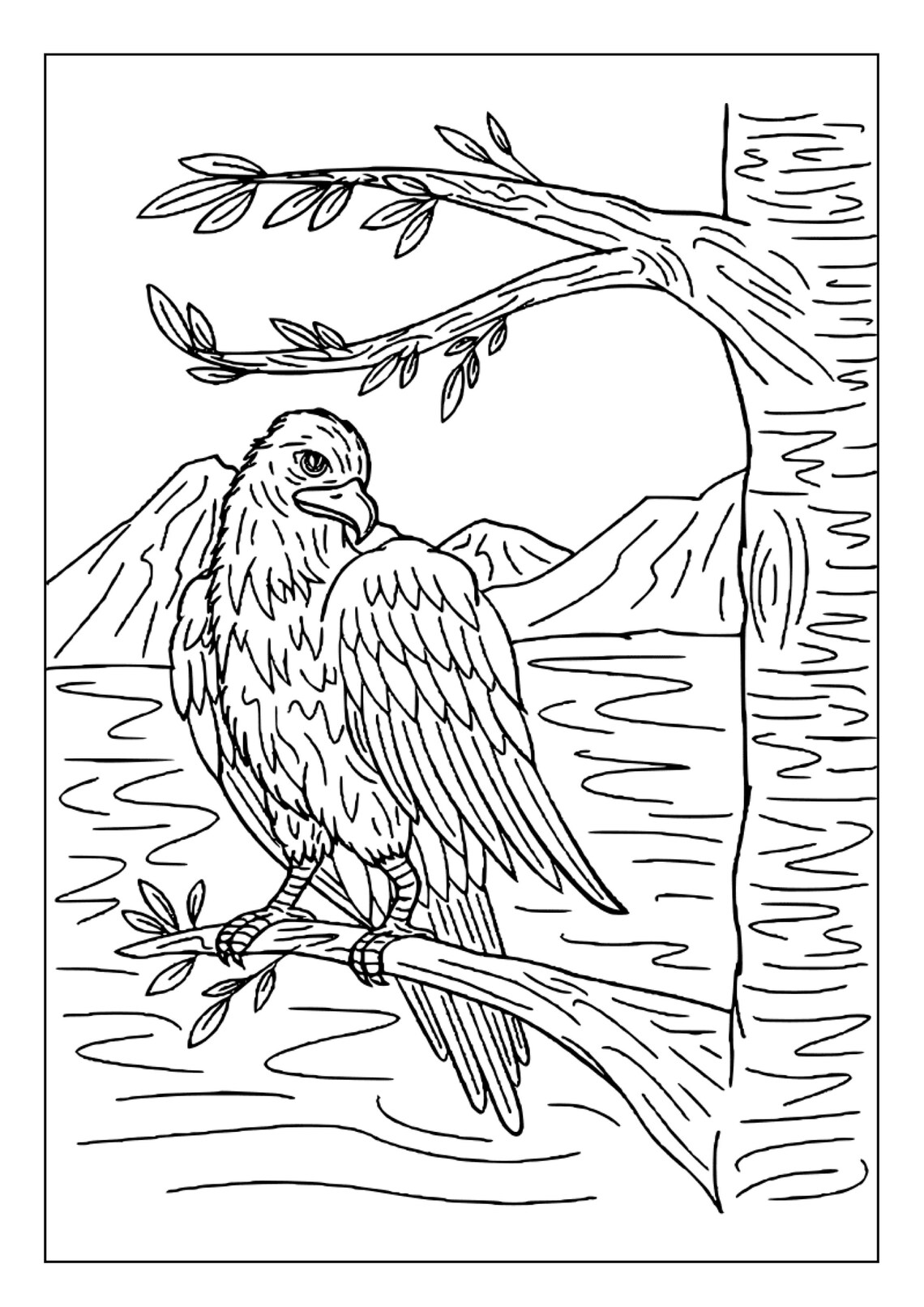 Printable Bald Eagle Coloring Pages for Kids & Adults 30 Pages Digital ...
