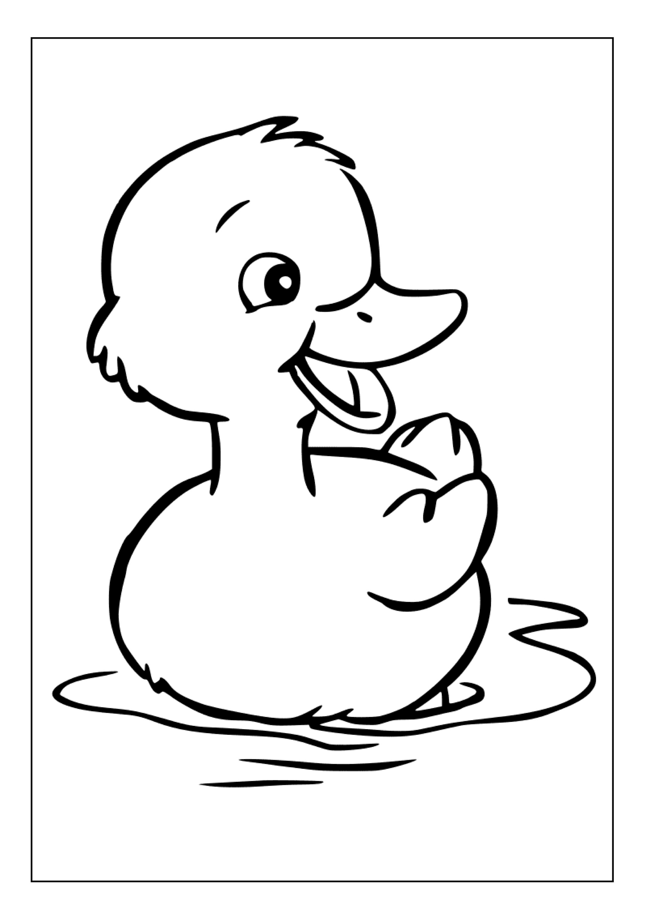 Printable Ducks Coloring Pages for Kids and Adults 50 Pages Instant ...