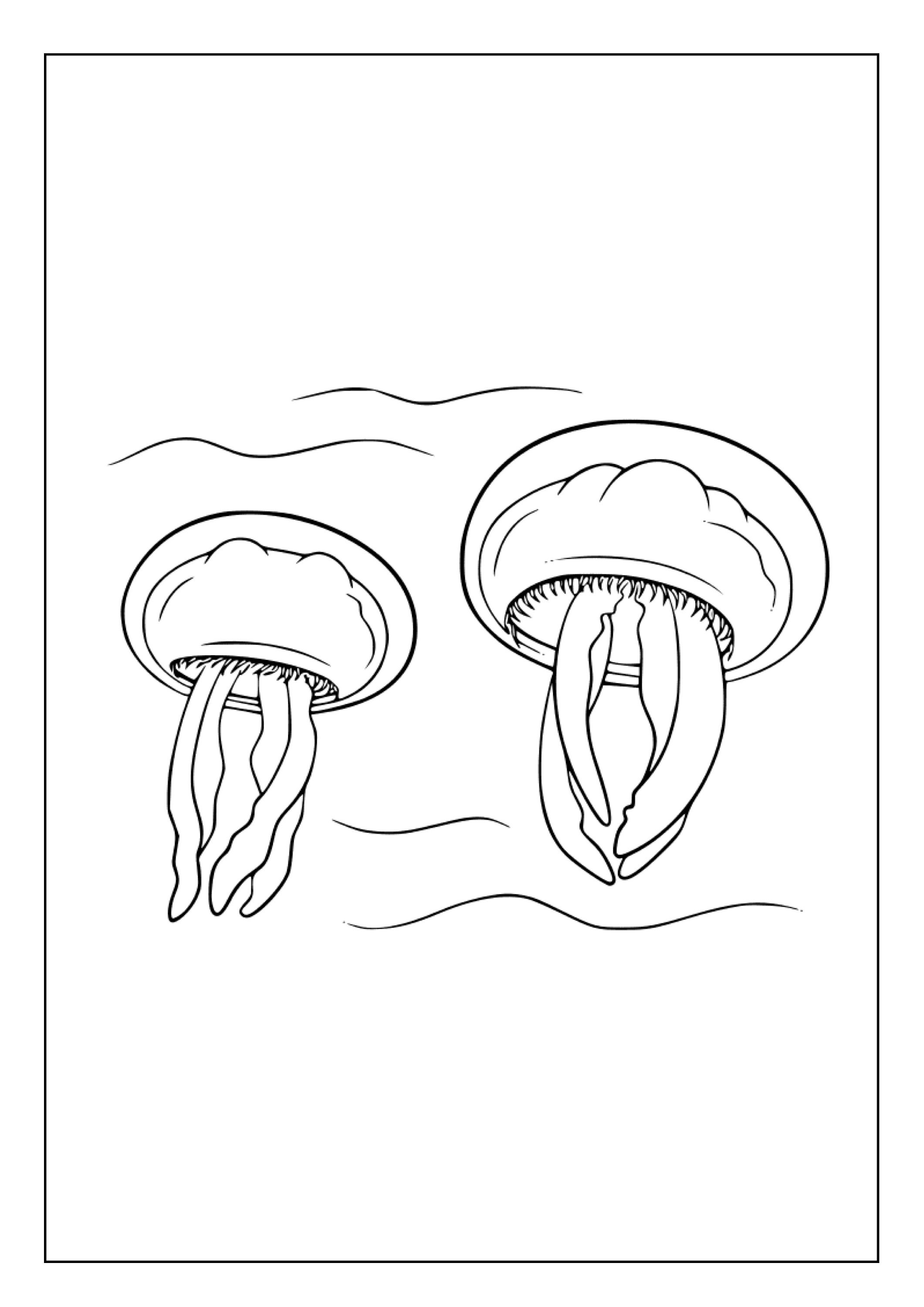 Printable Medusa Coloring Pages for Kids &amp; Adults 25 Pages Digital ...