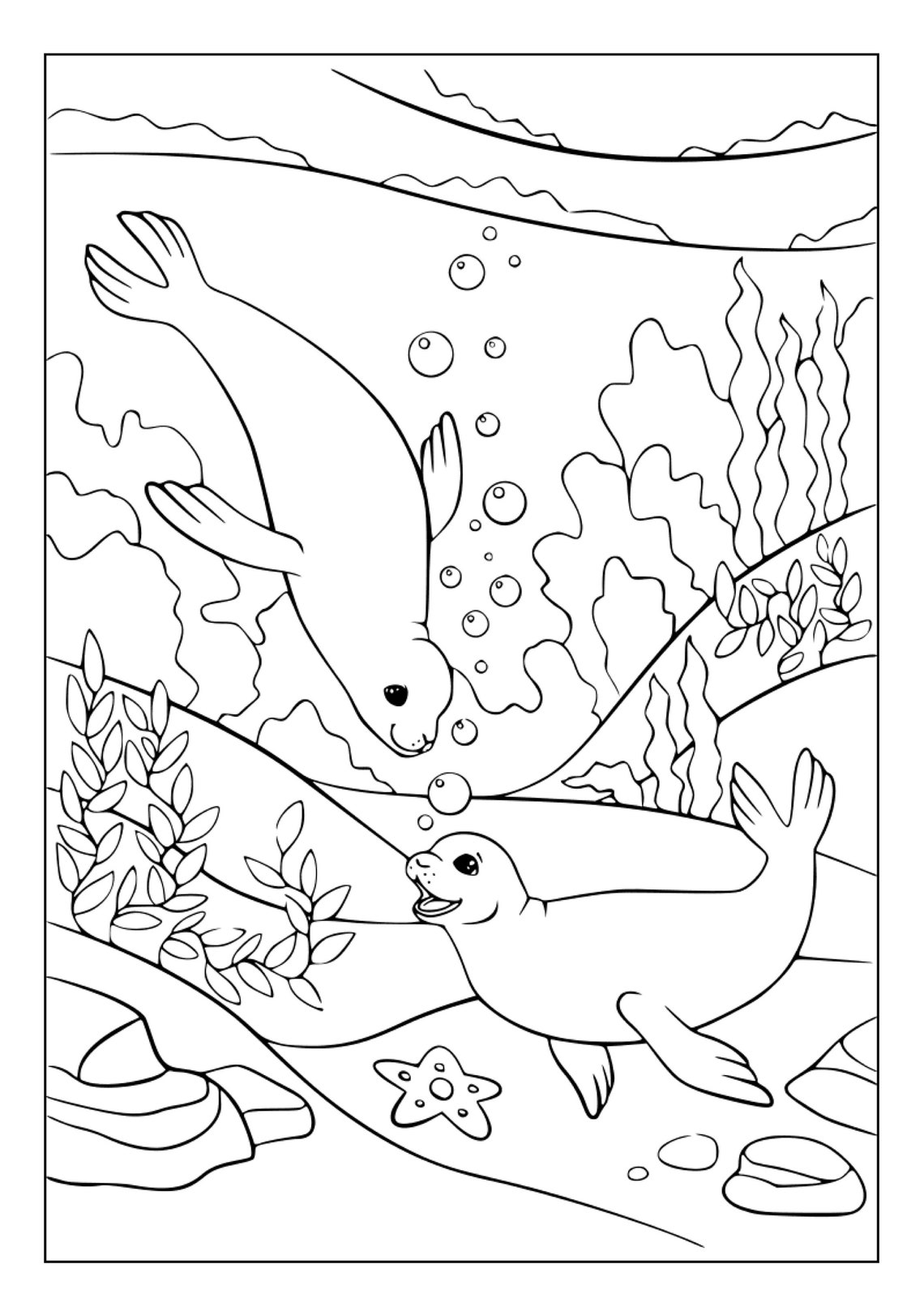 Printable Seals Coloring Pages for Kids and Adults 70 Pages Instant Digital Download PDF Cute ...