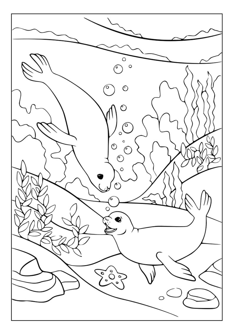 Printable Seals Coloring Pages for Kids and Adults 70 Pages Instant