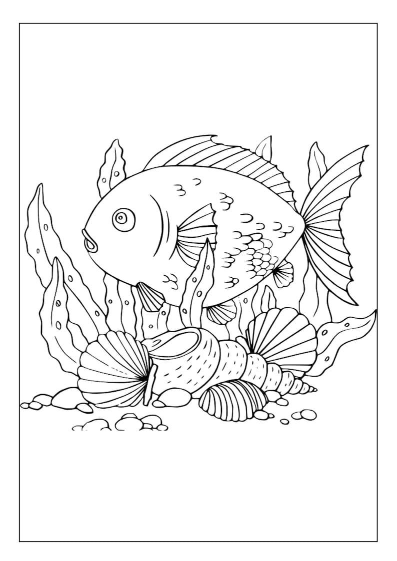 Printable Shell Coloring Pages for Kids & Adults | 85 Pages | Digital