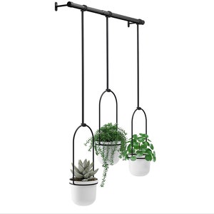 Triflora Hanging Planter for Window, Indoor Herb Garden, White/Black Air Plants