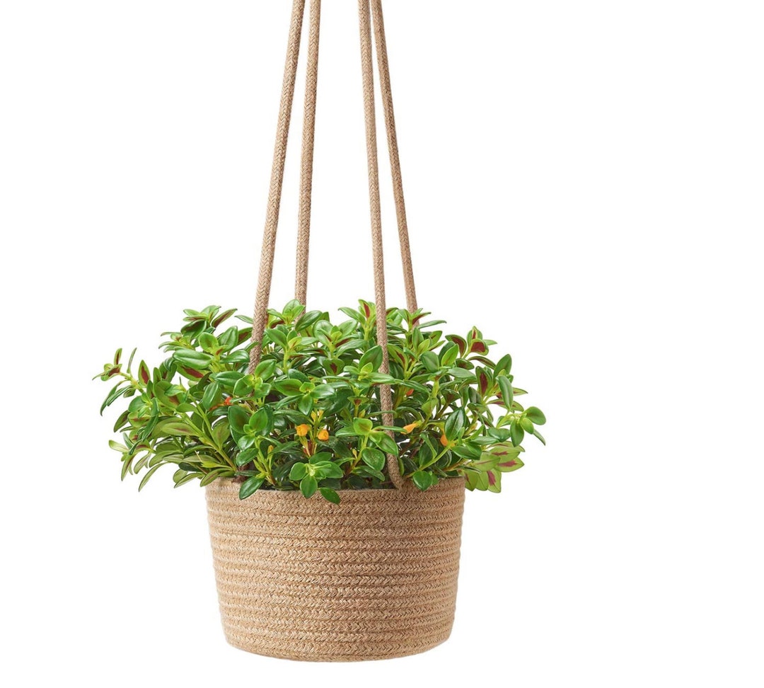 Jute Rope Hanging Planter Woven Plant Basket Indoor 7 Etsy