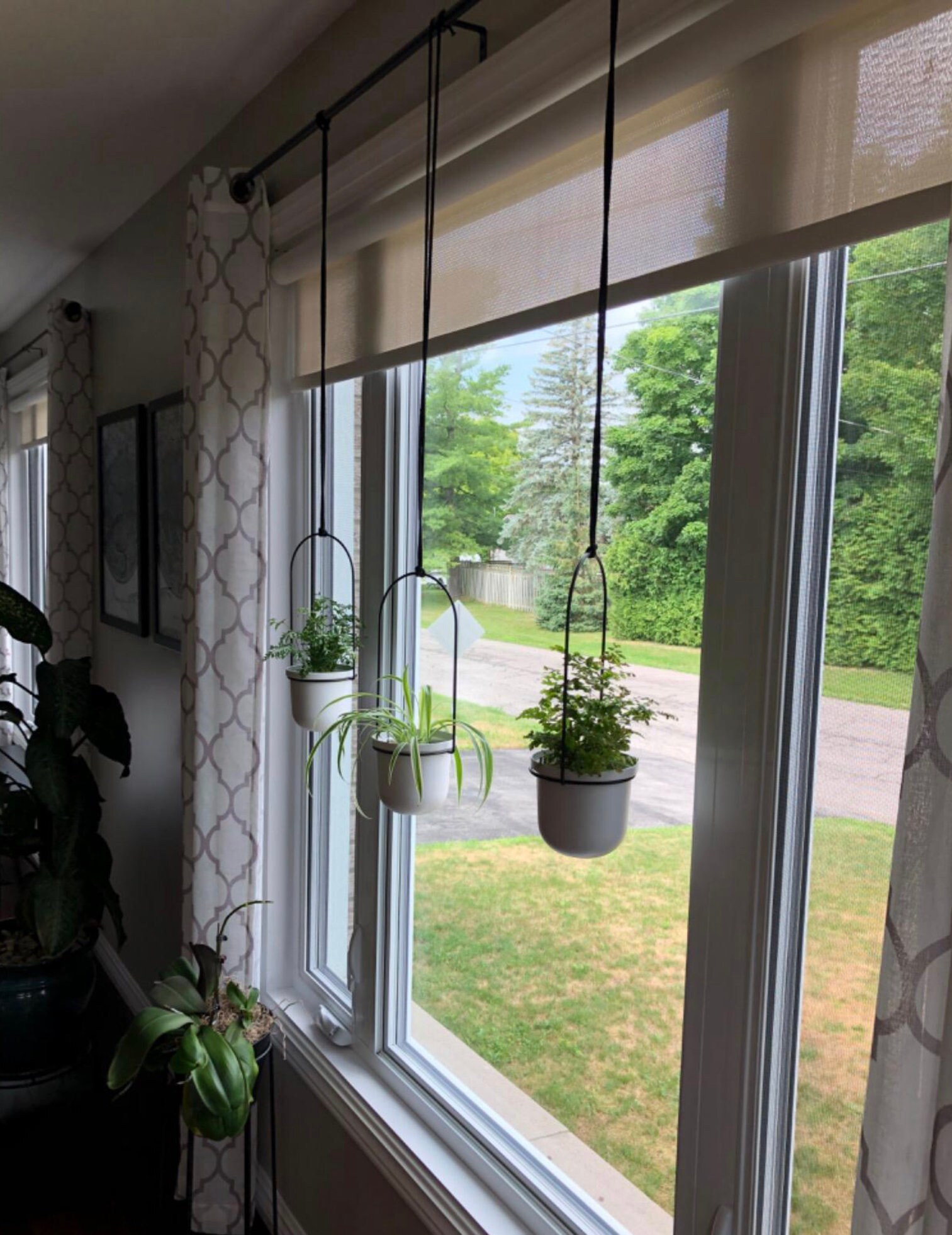 Triflora Hanging Planter for Window Indoor Herb Garden Etsy