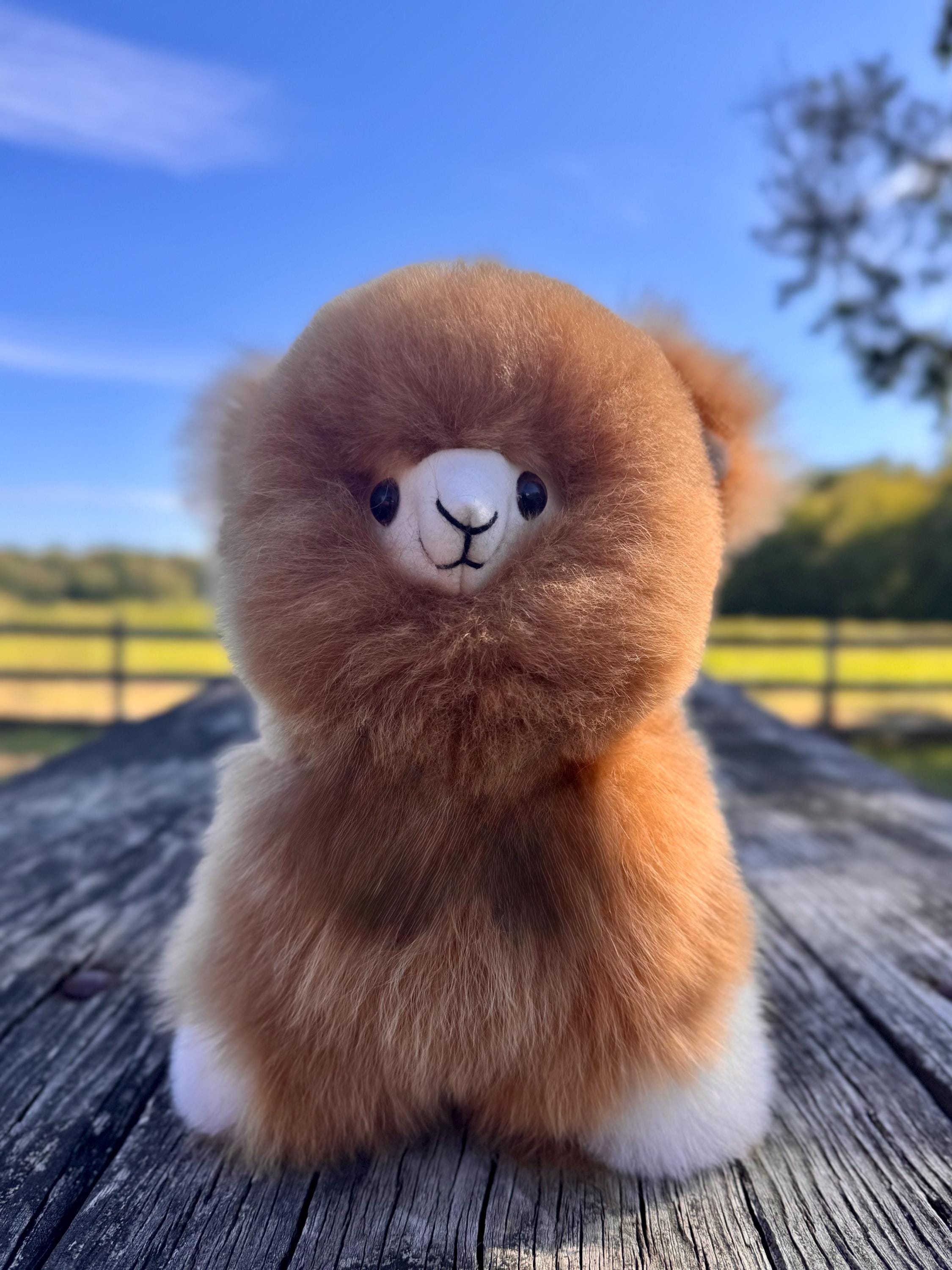 Alpaca Stuffed Animal | Soft Plush Toy Gift | Real Alpaca Fur - Etsy