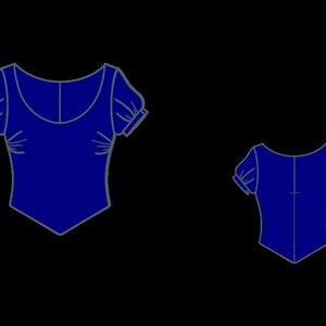 May include: A blue sleeveless top with a scoop neck and puffed sleeves. The top has a pointed hemline.
