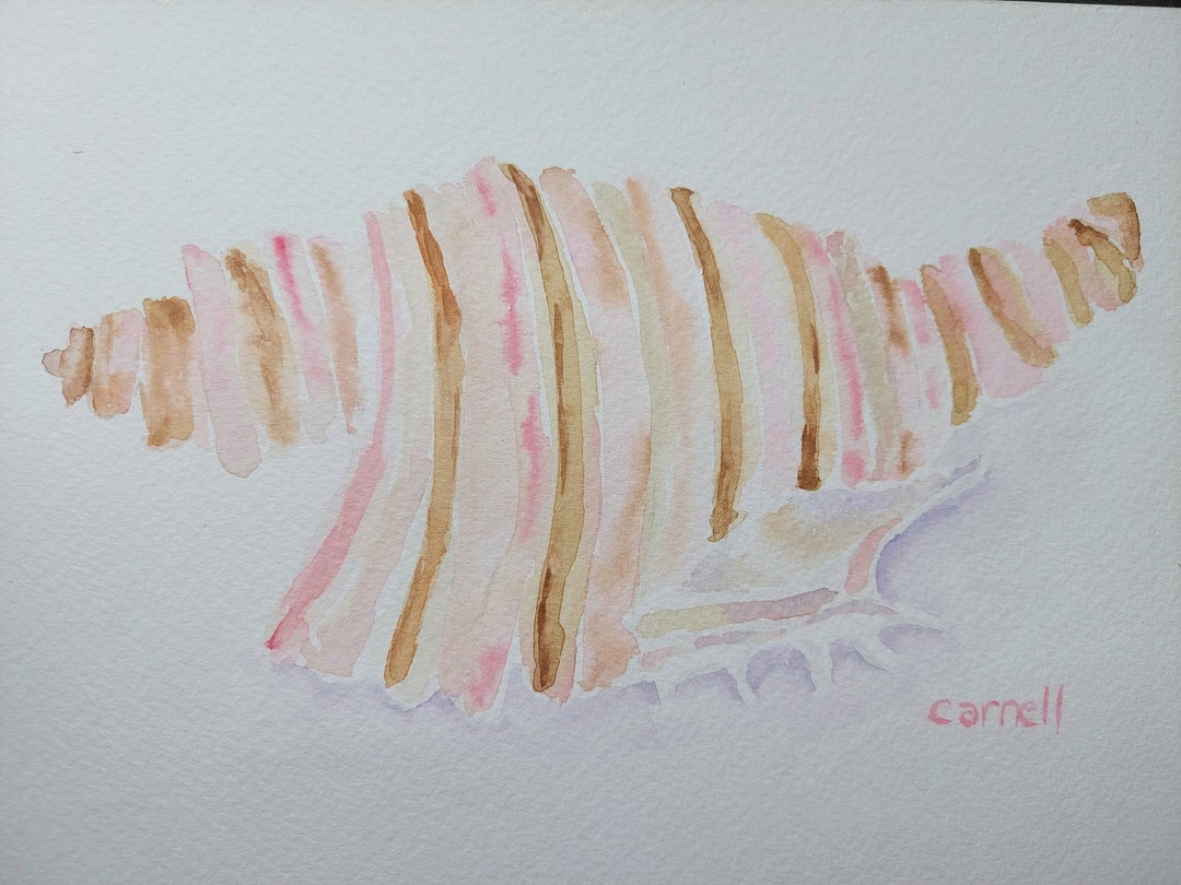 Pastel Seashells - Etsy