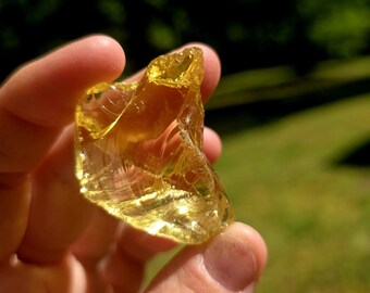 Yellow Golden Ray Andara