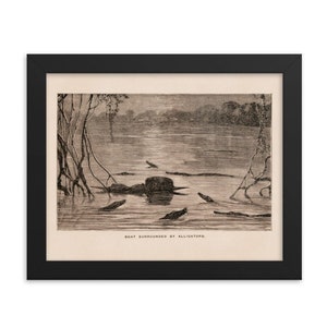 Gerahmt Poster - Alligators, Amazon Wall Art Dekor, Erdton, Tropisches Brasilien Waldszene 1883, Boho Gravur