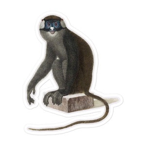 Red Tailed Monkey Sticker Safari Primate Vintage Retro Nursery Jungle and Zoo Decor and Laptop planner journal decoration