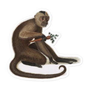 Capuchin Monkey Sticker Safari Primate Vintage Retro Nursery Jungle and Zoo Decor and Laptop planner journal decoration