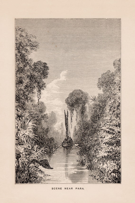 パラ、アマゾンの驚異の印刷可能な壁アート、デジタルセピアトーンの