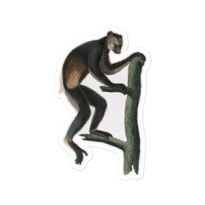 Indri Babakoto Monkey Sticker Safari Primate Vintage Retro Kinderzimmer Dschungel und Zoo Dekor und Laptop Planer Journal Dekoration