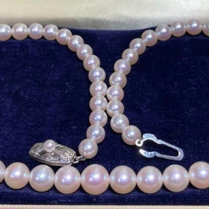 Collar Mikimoto