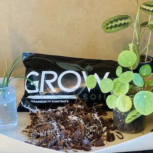 Op de afbeelding: Een zwarte zak met het woord "GROW" in witte letters en de woorden "ARRANGEUR DE SUBSTRATS" en "SOIL" in witte letters. De zak is gevuld met bruine houtsnippers en witte vezels. Er zijn twee potplanten op de afbeelding, een met groene bladeren en de andere met ronde, groene bladeren.