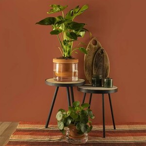 Pot-Oya for indoor plant, design, self-watering, for kitchen and living room, ollas pot, terra cotta