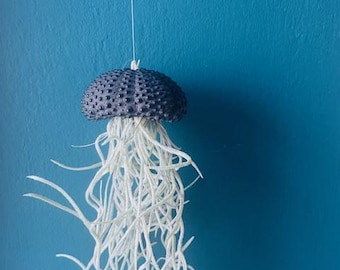 Levende hangende kwallen — Natuurlijke zee-egels en Tillandsia — Decoratieve wandplant — Origineel natuurcadeau