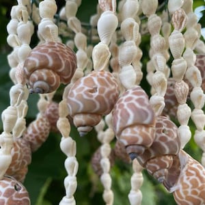 Peut inclure: Un mobile suspendu composé de multiples brins de petits coquillages blancs allongés, entremêlés de coquillages en spirale plus grands, arrondis, aux motifs marron clair et blancs. Les brins sont suspendus à une structure en fil métallique.