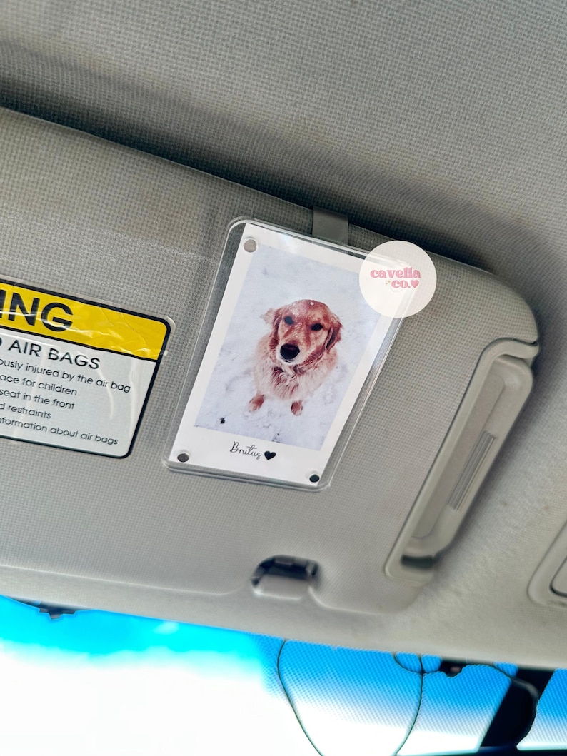 May include: A clear plastic car visor clip with a photo of a golden retriever dog in the snow. The photo has the name "Britus" written on it with a black heart. The clip has a white label with the text "cavella co."