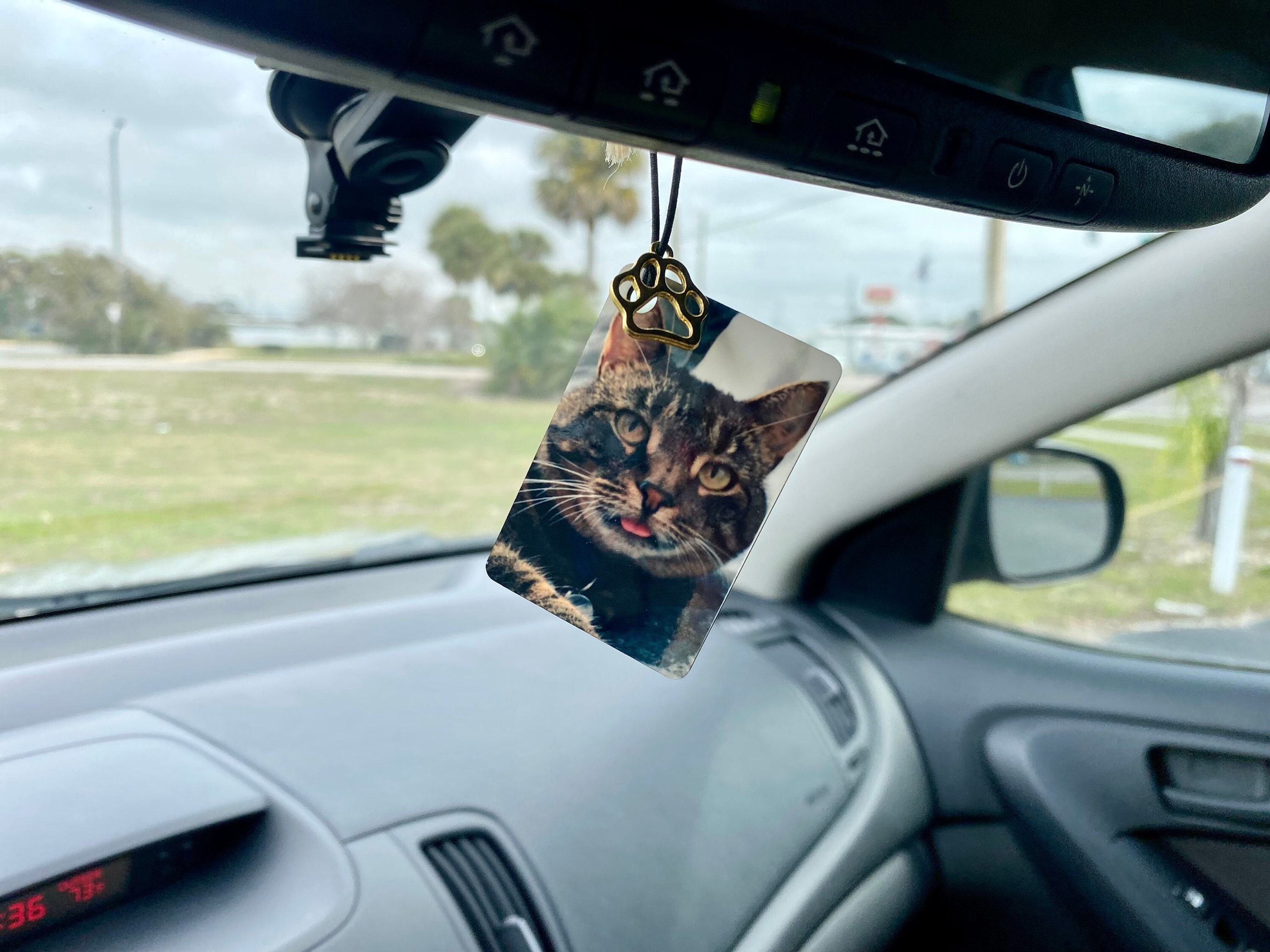 Cat Car Hanging Ornament Resin Cat Figurine Car Rearview Mirror