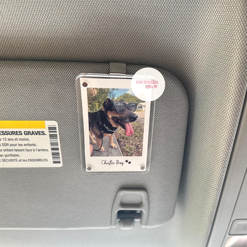 May include: A clear plastic photo holder with a black and brown dog wearing sunglasses and sticking its tongue out. The photo holder is attached to a car's sun visor. The text "Chester Boy" is printed below the photo. A pink sticker with the text "cavella clay" is on the top right corner of the photo holder.