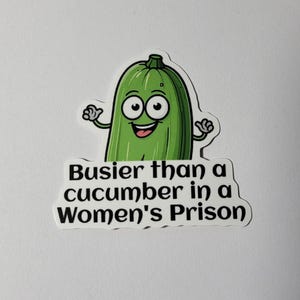Busier than a cucumber in a women's prison Sticker | Hardhat sticker | Sticker | funny sticker | Laptop sticker | Water bottle Sticker