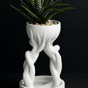 Peut inclure: Un pot de fleurs en céramique blanche au design unique, avec une plante succulente verte et blanche. Le pot est soutenu par des structures entrelacées, texturées, en forme de branches, créant une esthétique sculpturale. La base est un plat rond et peu profond.