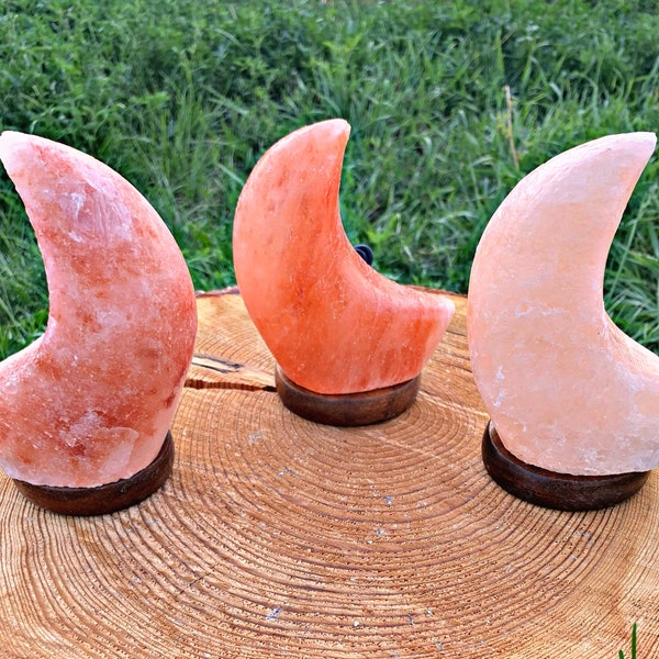 Himalayan Salt Lamp Etsy