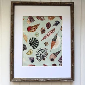 May include: A framed print featuring a collection of various seashells in shades of brown, tan, and white, set against a light blue-green background. The seashells are arranged in a scattered pattern. The frame is a dark brown bamboo style.