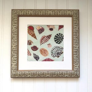 May include: Square framed artwork featuring a collection of seashells in various colors and patterns on a light blue background. The frame is a light gold color with ornate detailing. The artwork is a decorative piece.