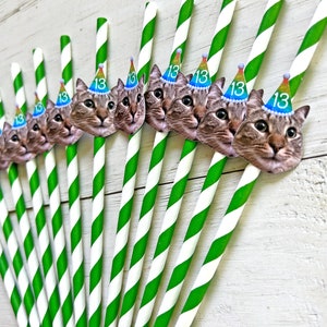 Custom Photo Straws, Custom Face Straws, Custom Pet Straw, 12 Count Paper Straws, Personalized Face Party Straws, Straw With Face