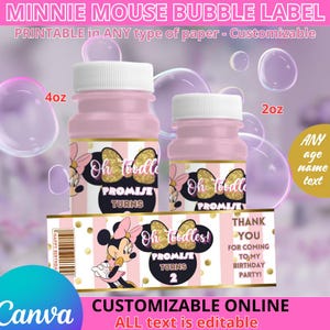 Puede incluir: Botellas de burbujas rosas con tapas blancas, decoradas con diseños de Minnie Mouse y texto. Las etiquetas dicen "Oh Toodles!" y "Promise Turns 2". Una pancarta muestra "Gracias" y "Feliz Cumpleaños".