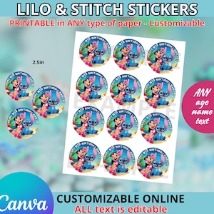 Lilo and Stitch Blumen Stickers 6,5 cm Vorlage, EDIT selbst in CANVA