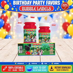 May include: Two red bubble bottles with white caps labeled 4oz and 2oz, featuring Disney character graphics and the text 'AHMIR'S 1ST BIRTHDAY'. Below, a rectangular label displays the same characters, a barcode, and 'THANK YOU FOR COMING TO MY PARTY'.
