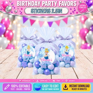 May include: Three clear plastic favor bags filled with purple and blue candies, each tied with a light purple ribbon. A circular sticker on each bag features a cartoon princess in a blue dress with the text Victoria's 3rd Birthday in pink script.