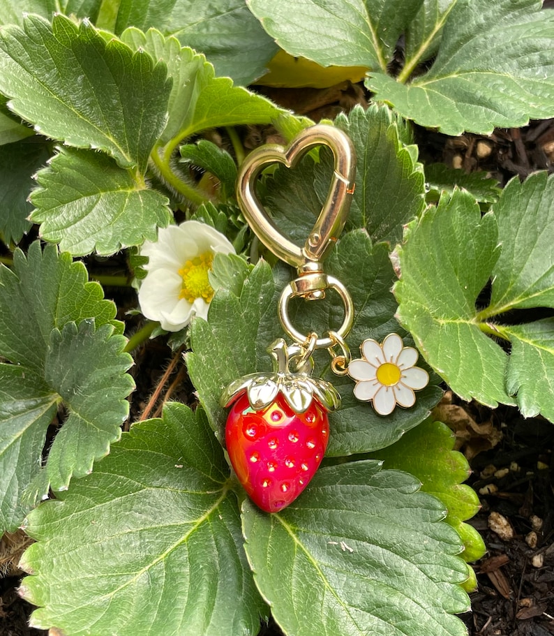Puede incluir: Un llavero dorado con un dije de fresa roja y dorada y un dije de margarita blanca. El llavero est&aacute; unido a un cierre en forma de coraz&oacute;n.