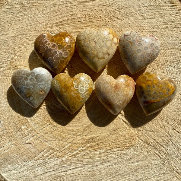 FOSSIL CORAL Hearts (one) Calming & Super Gorgeous