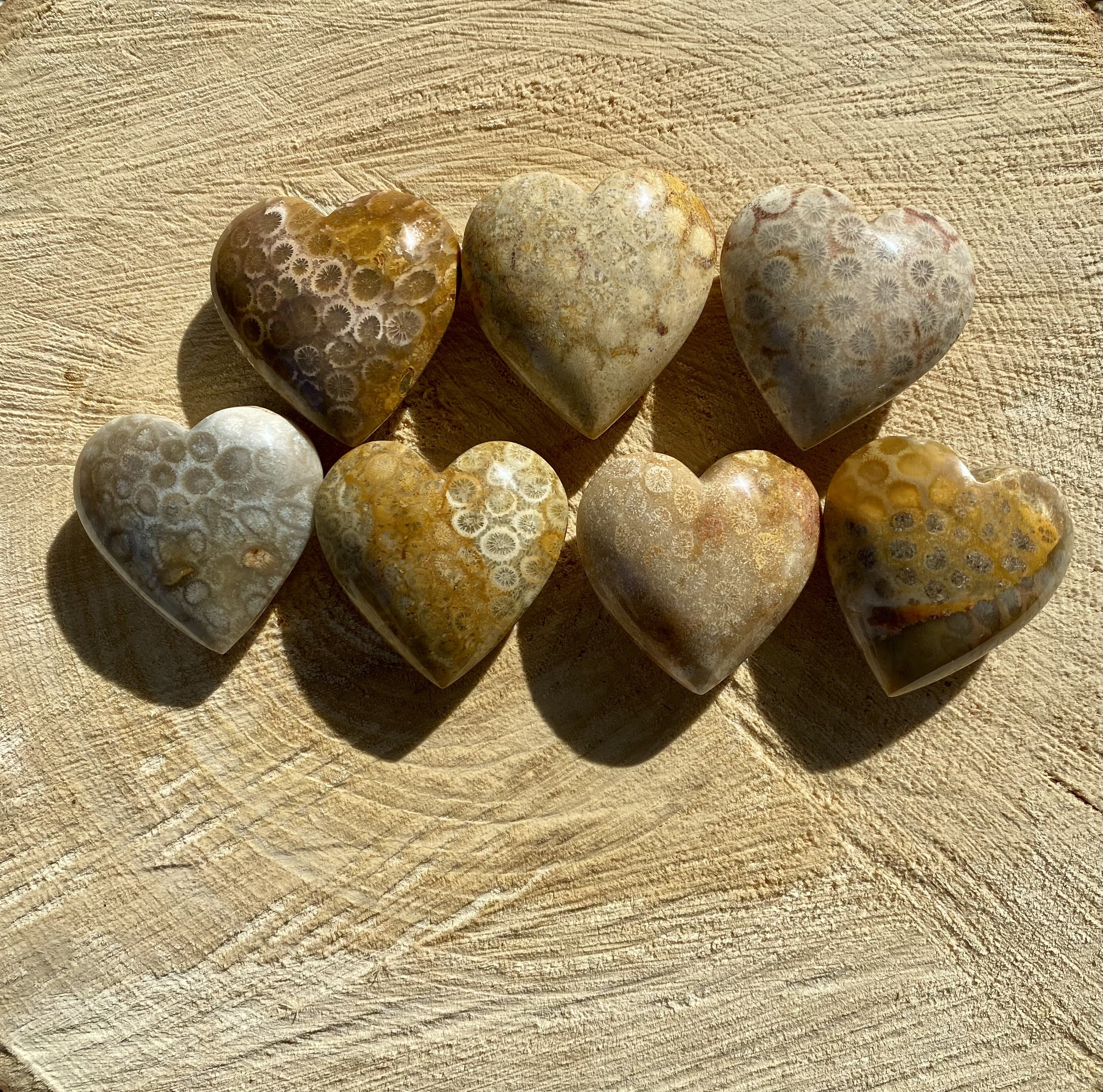 Fossil Coral Heart - Etsy