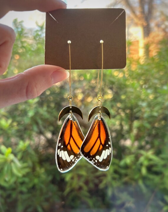 Monarch Butterfly Wing Earrings Real Butterfly Wings Butterfly