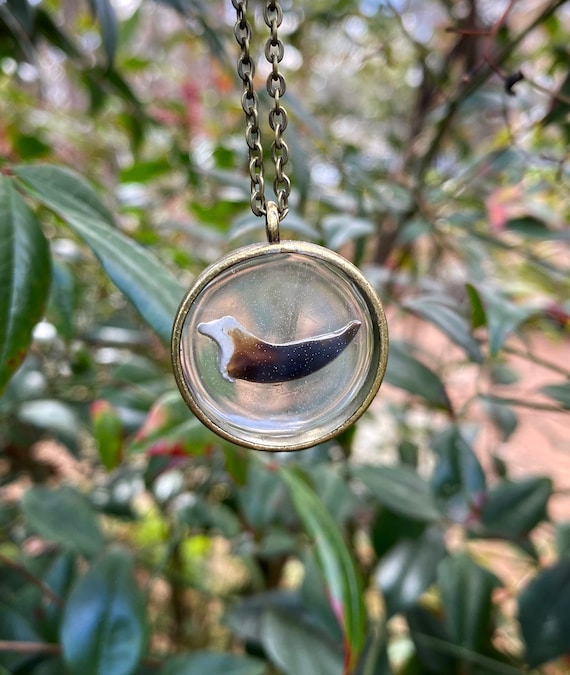 Coyote claw deals necklace