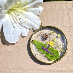 Real ladybug terrarium necklace - insect jewelry - handmade epoxy resin jewelry - oddity curio
