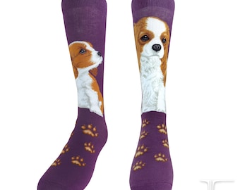 Calzini Cavalier King Charles / Calzini a mezza gamba in misto cotone lavorato a maglia