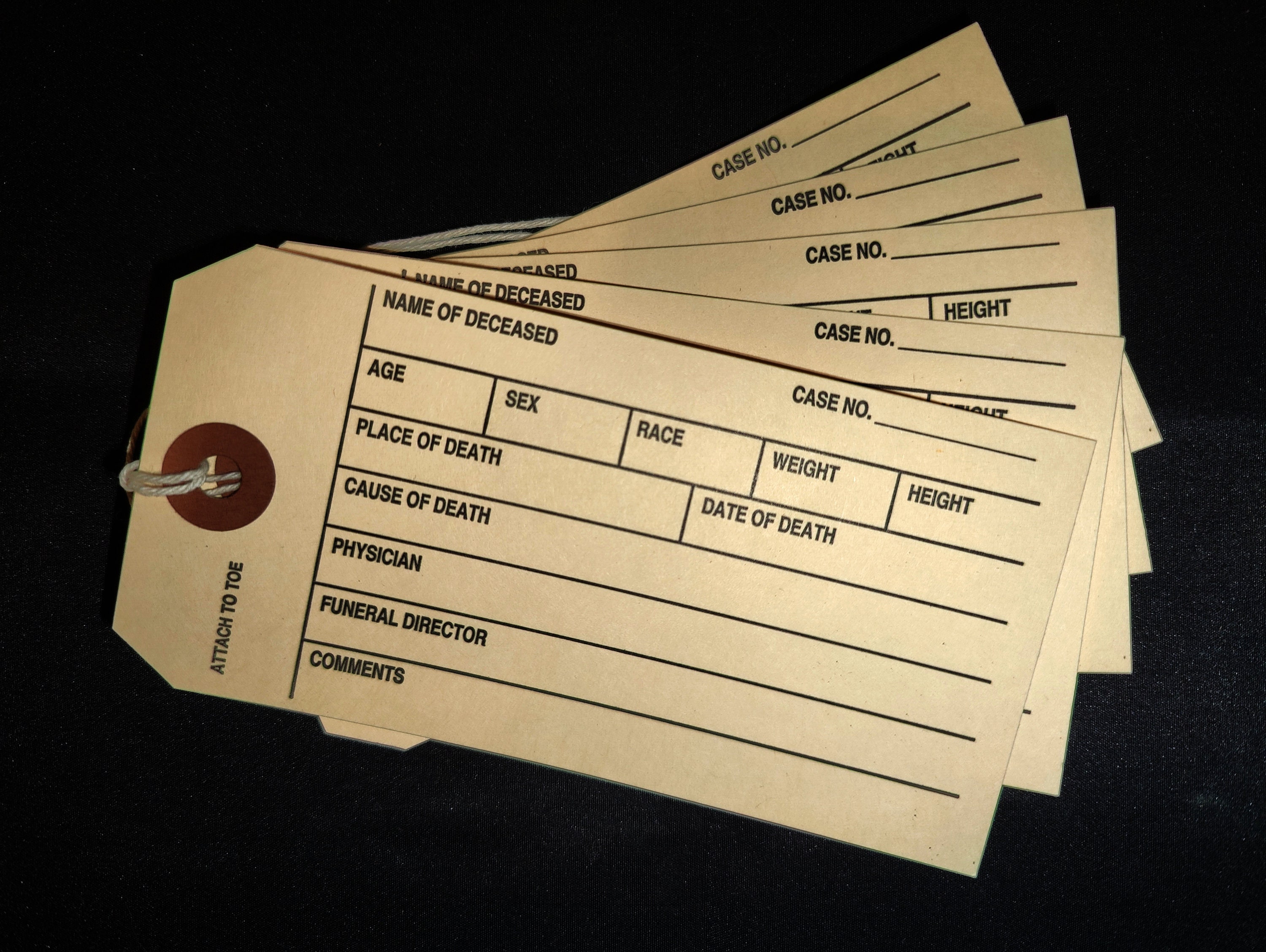 Toe Tags 5 for 2.99 FREE SHIPPING Coroner and Funeral Toe - Etsy Australia